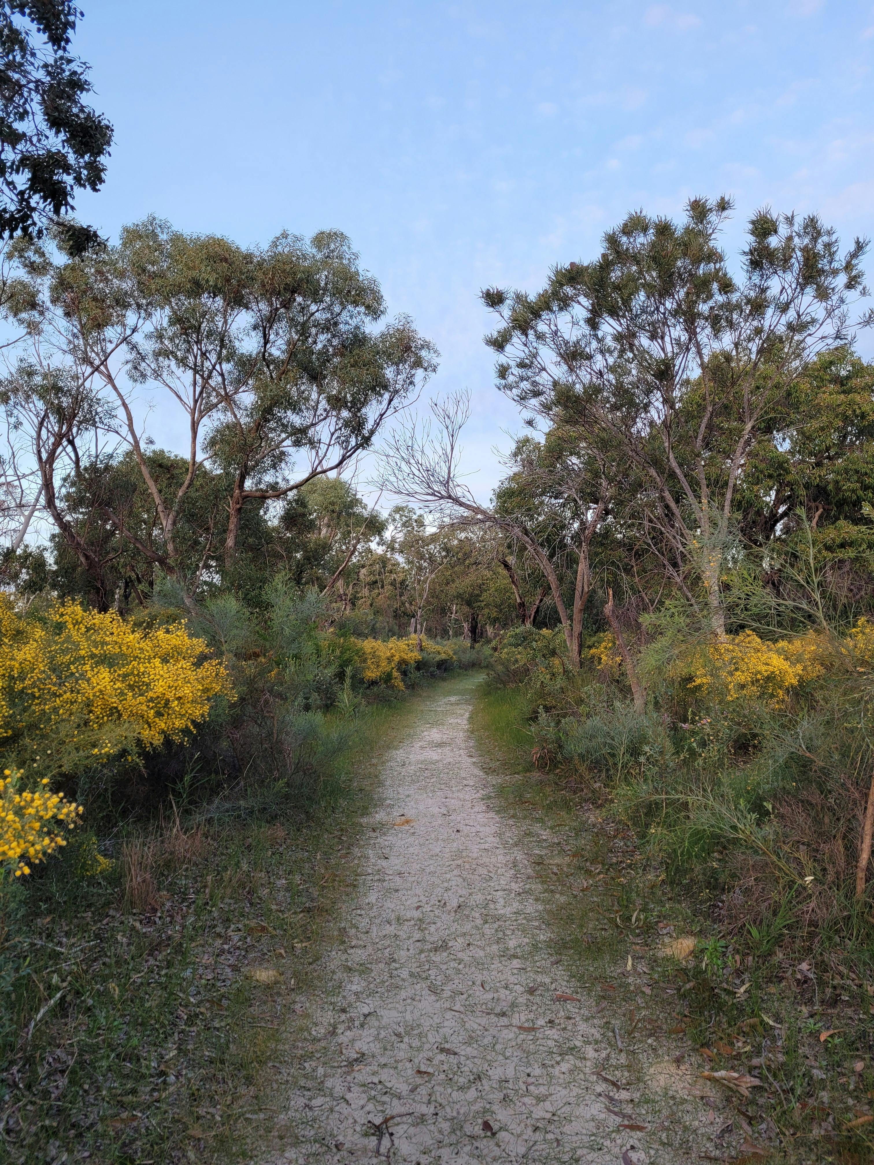 trail