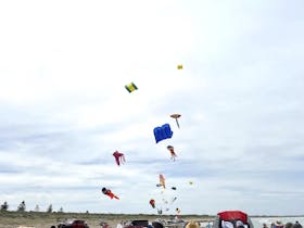 Beachport Giant Kite