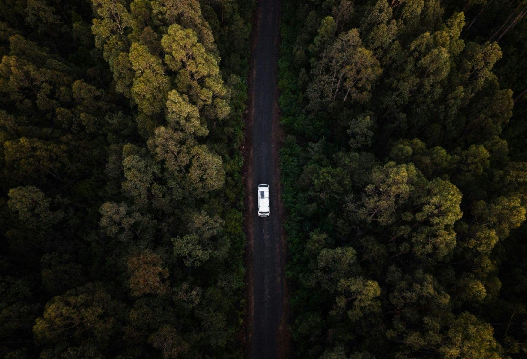 4WD campervan rental tasmania in the forest