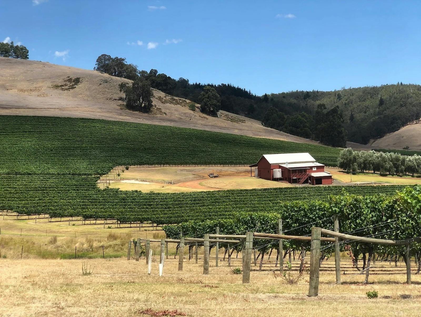 Hillbillé Winery