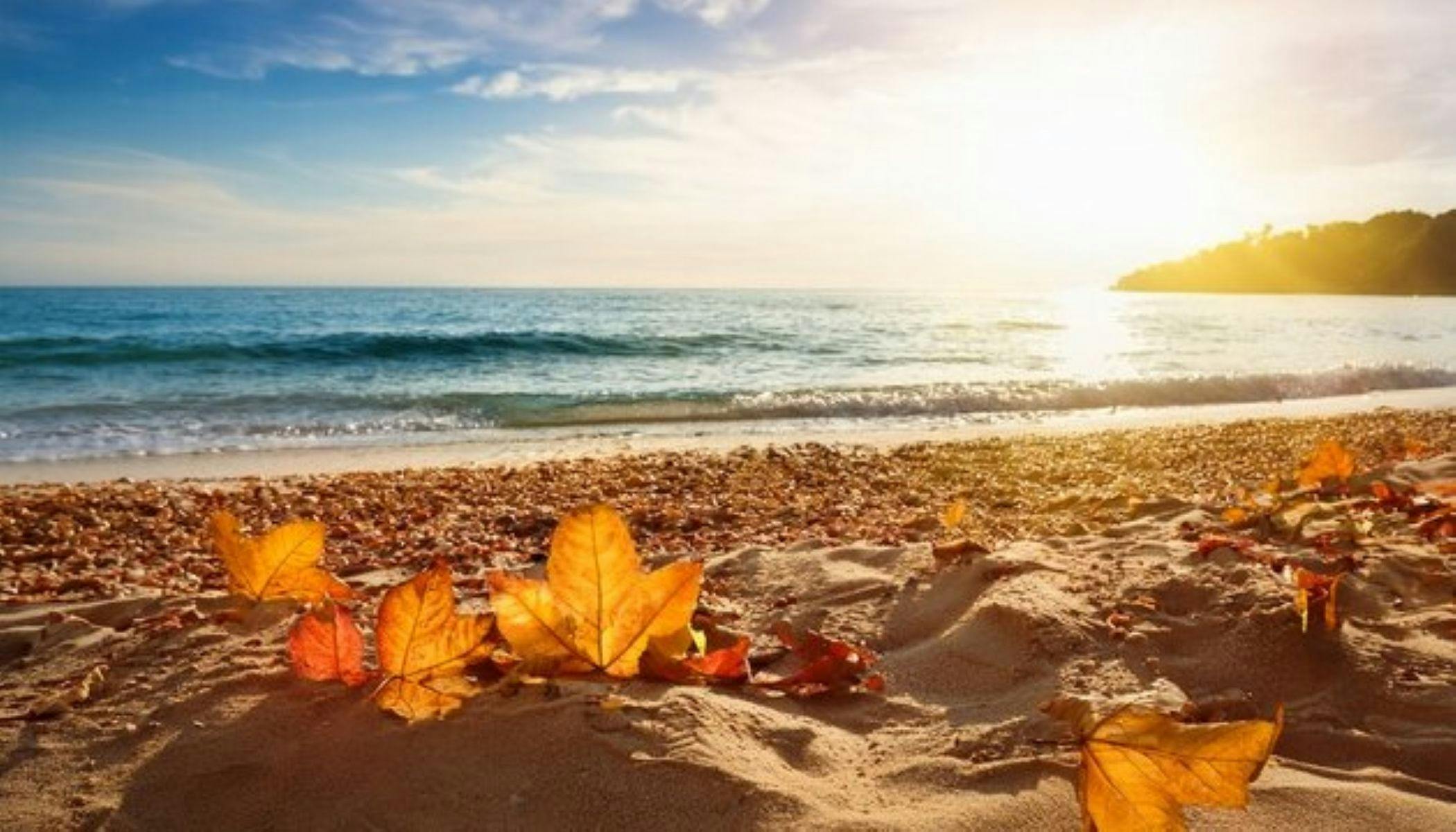 Leaves Are Falling, Autumn is Calling