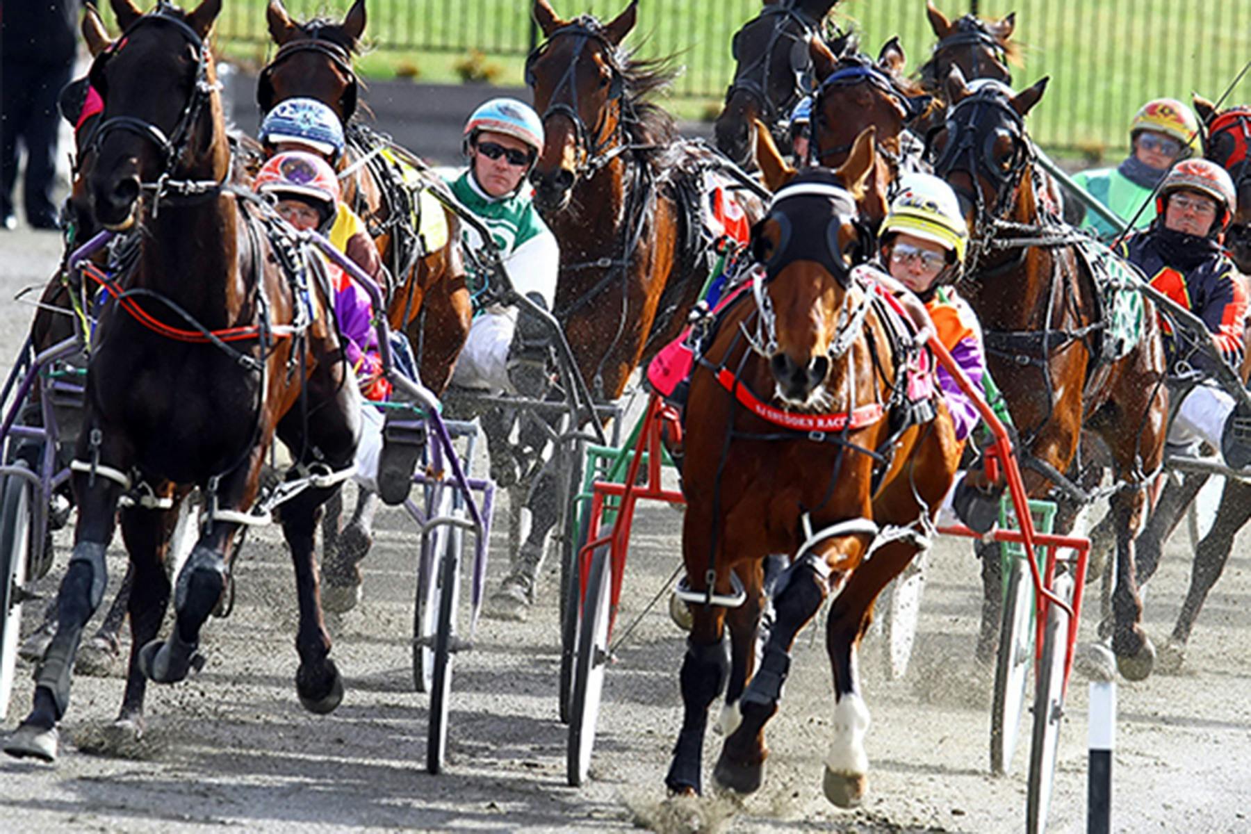 Bathurst Harness Racing