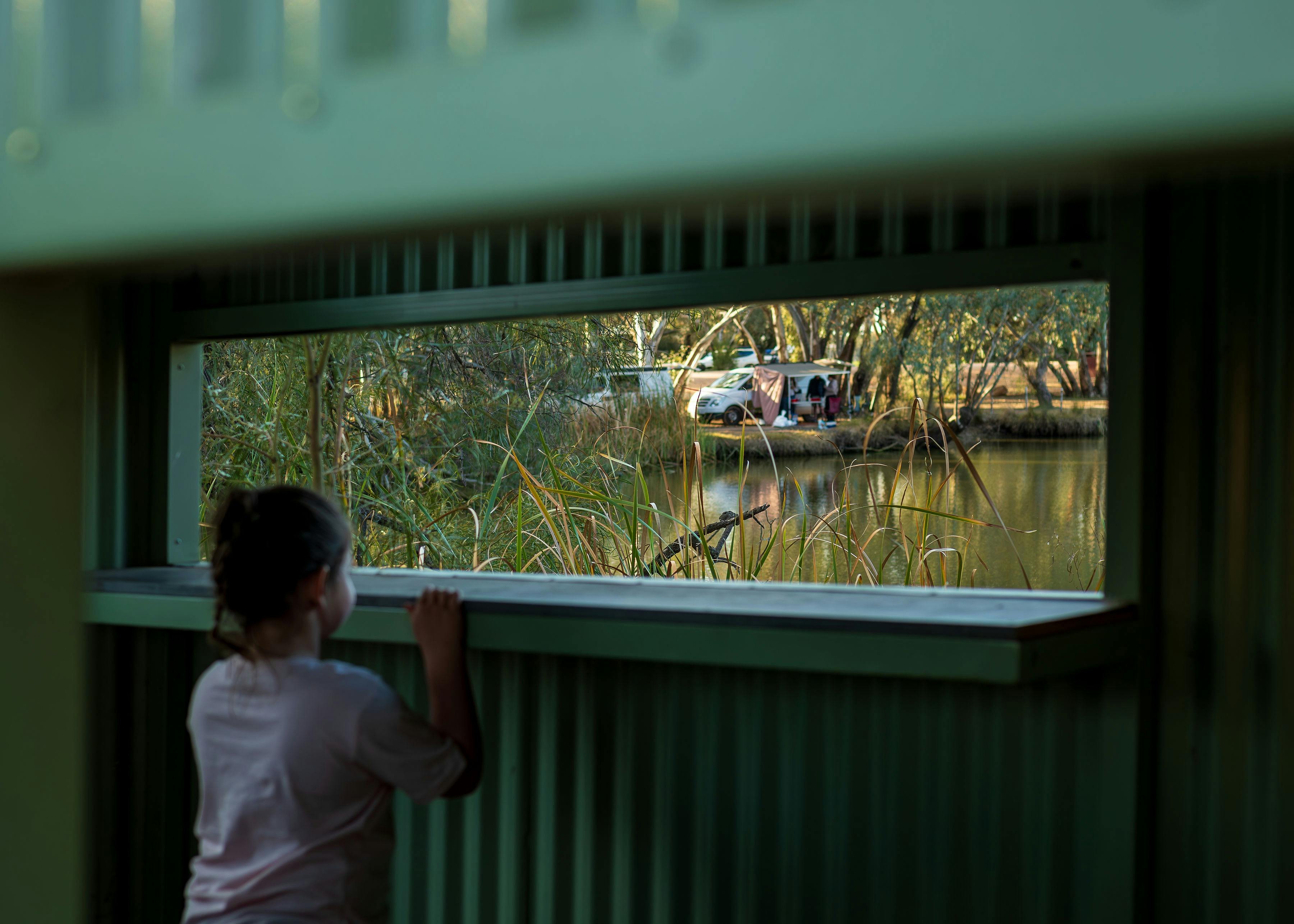 Birdwatching bird hide