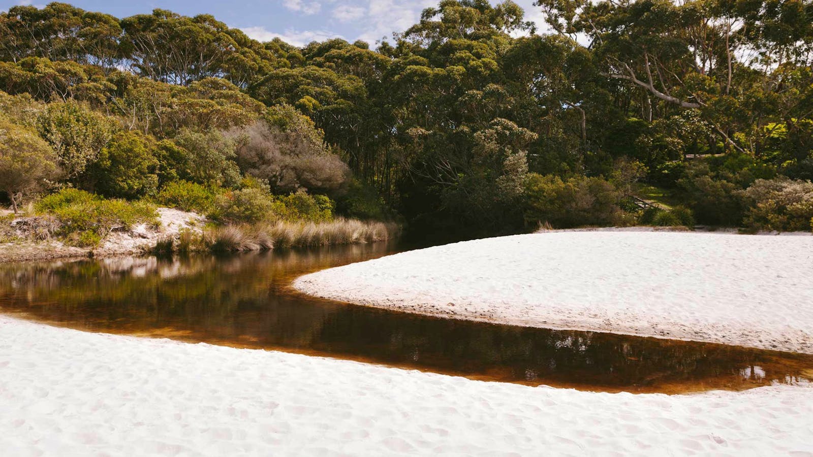 Hyams Beach trail