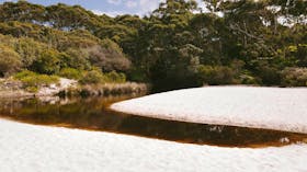 Hyams Beach Trail, Jervis Bay National Park. Photo: David Finnegan