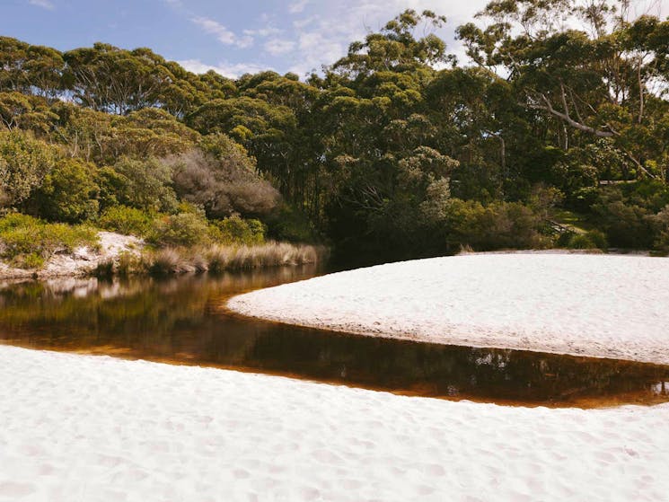 Hyams Beach Trail, Jervis Bay National Park. Photo: David Finnegan