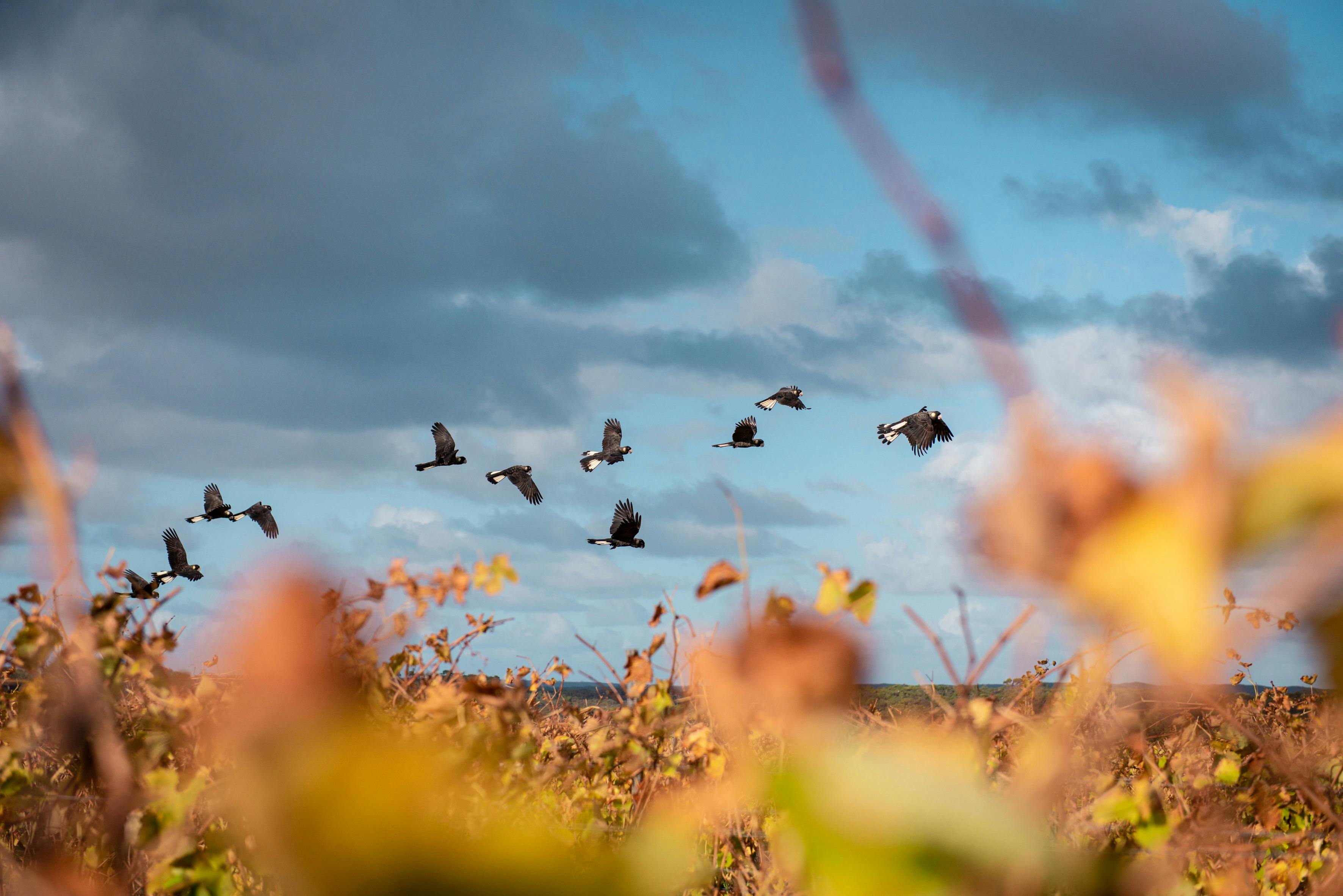 Give yourself time to enjoy the wonderful nature of the Margaret River Region