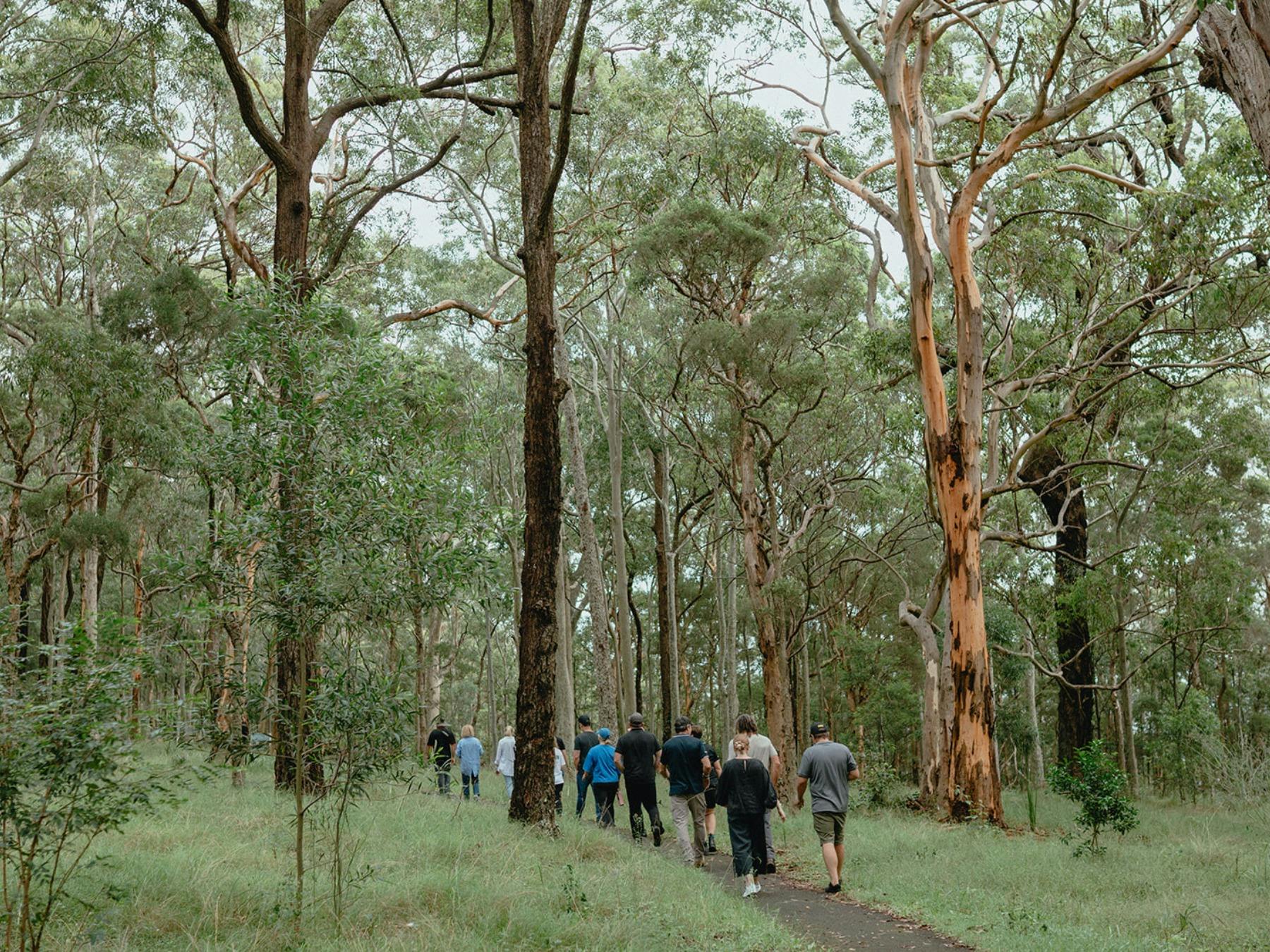 Mount Sugarloaf Experience