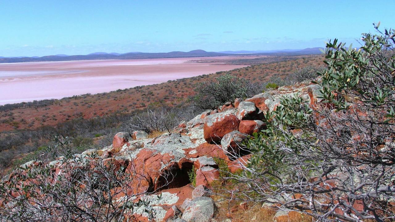 Lake Gairdner National Park