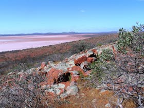 The large saline lake system surrounded by red sand hills in Lake Gairdner National Park