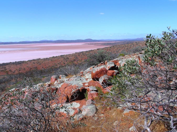 Lake Gairdner National Park