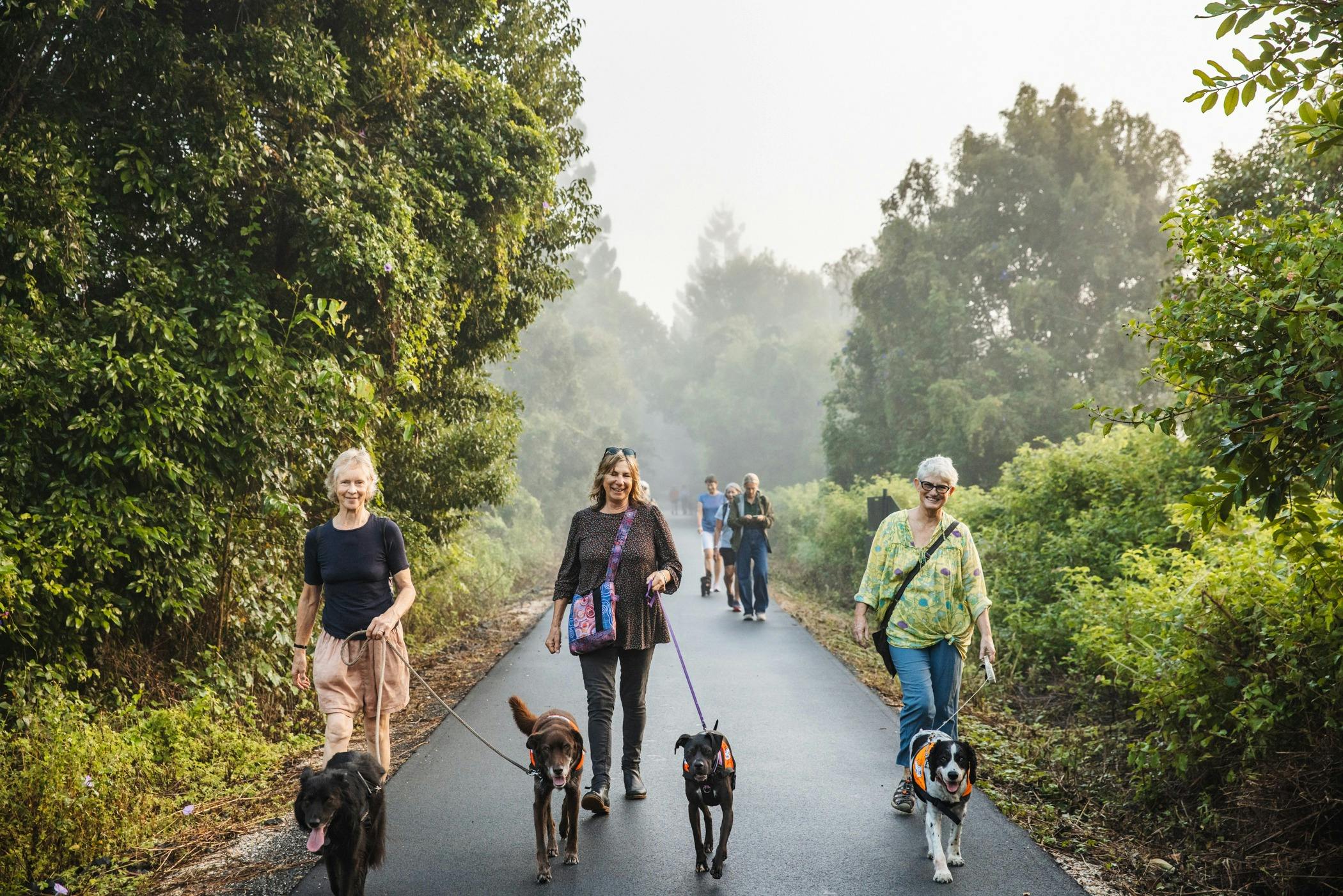 レールトレイルを歩く犬の散歩客