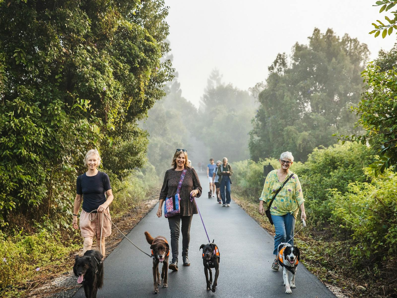 Northern Rivers Rail Trail | NSW Holidays & Accommodation, Things to Do ...