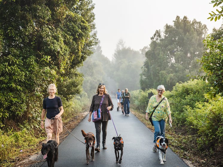 Dog walkers on the Rail Trail