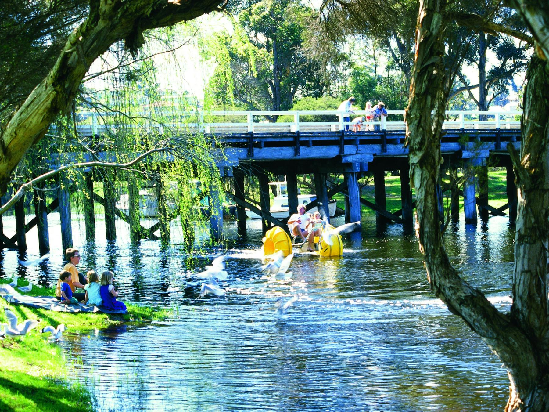 Denmark River, Denmark, Western Australia