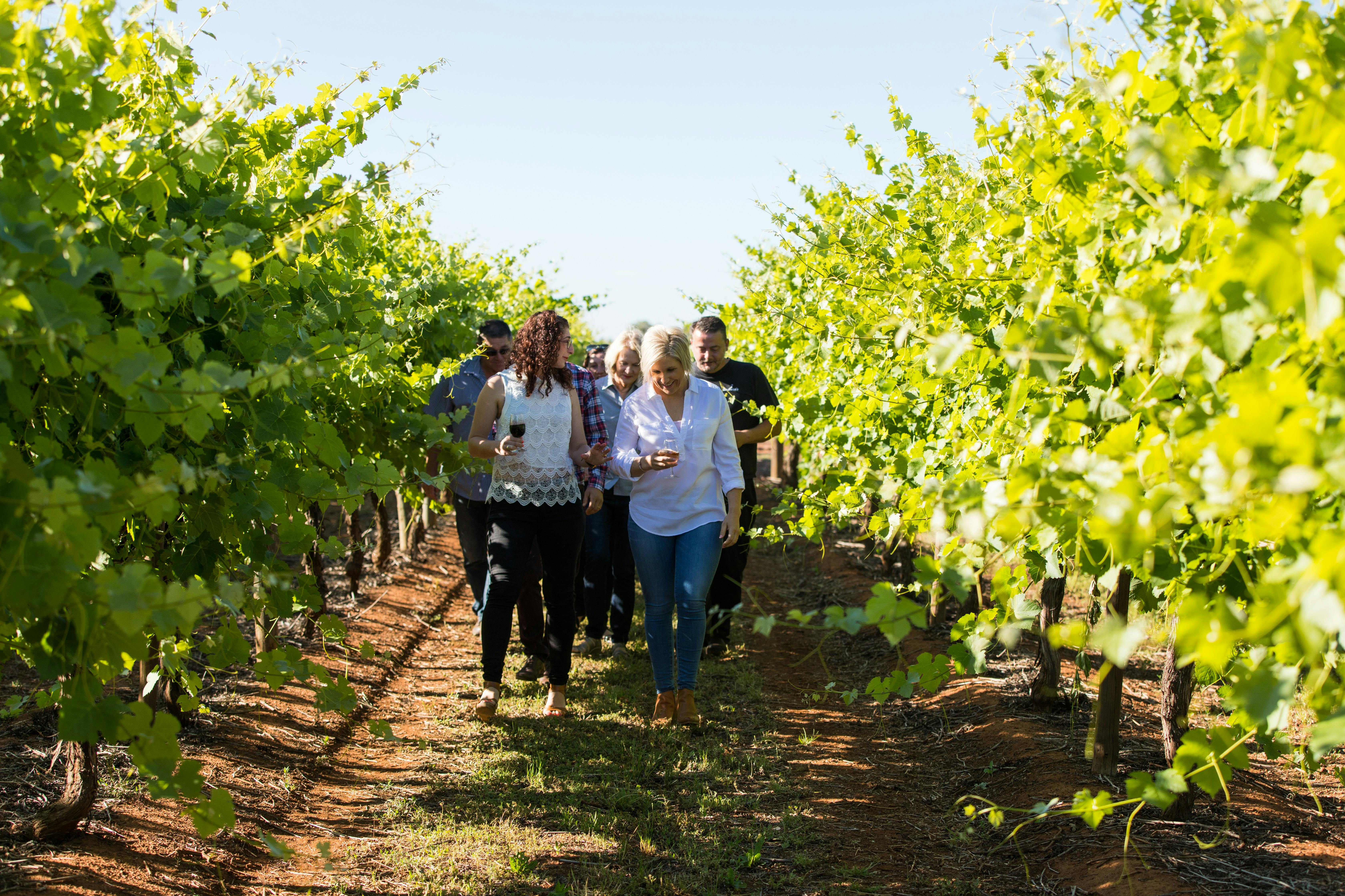 Meet The Farmers - Ag Tours