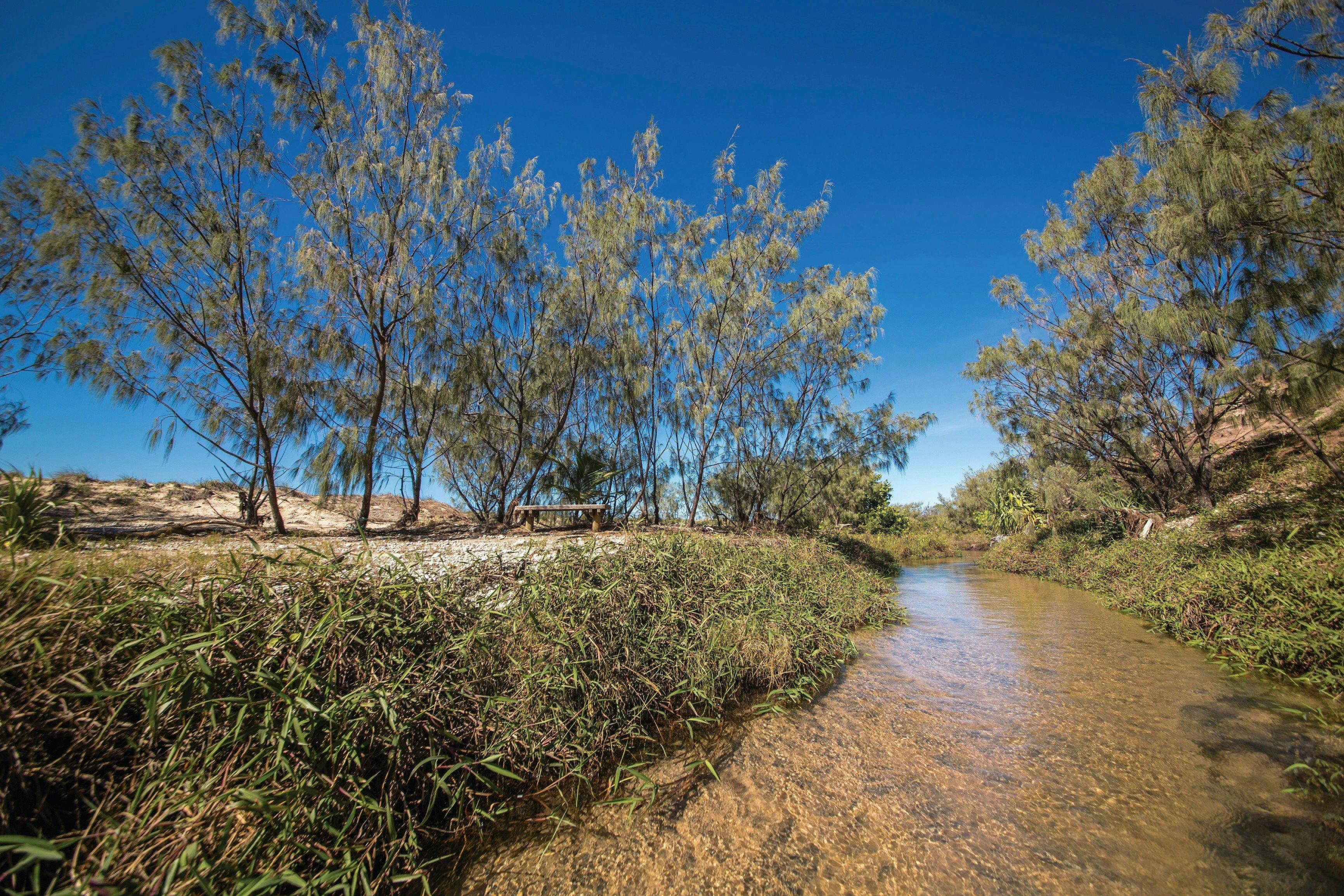 Freshwater Creek Track, Byfield National Park Journey Queensland