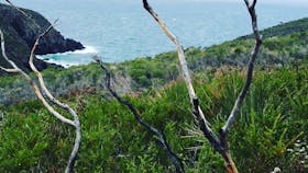 Deep Creek National Park