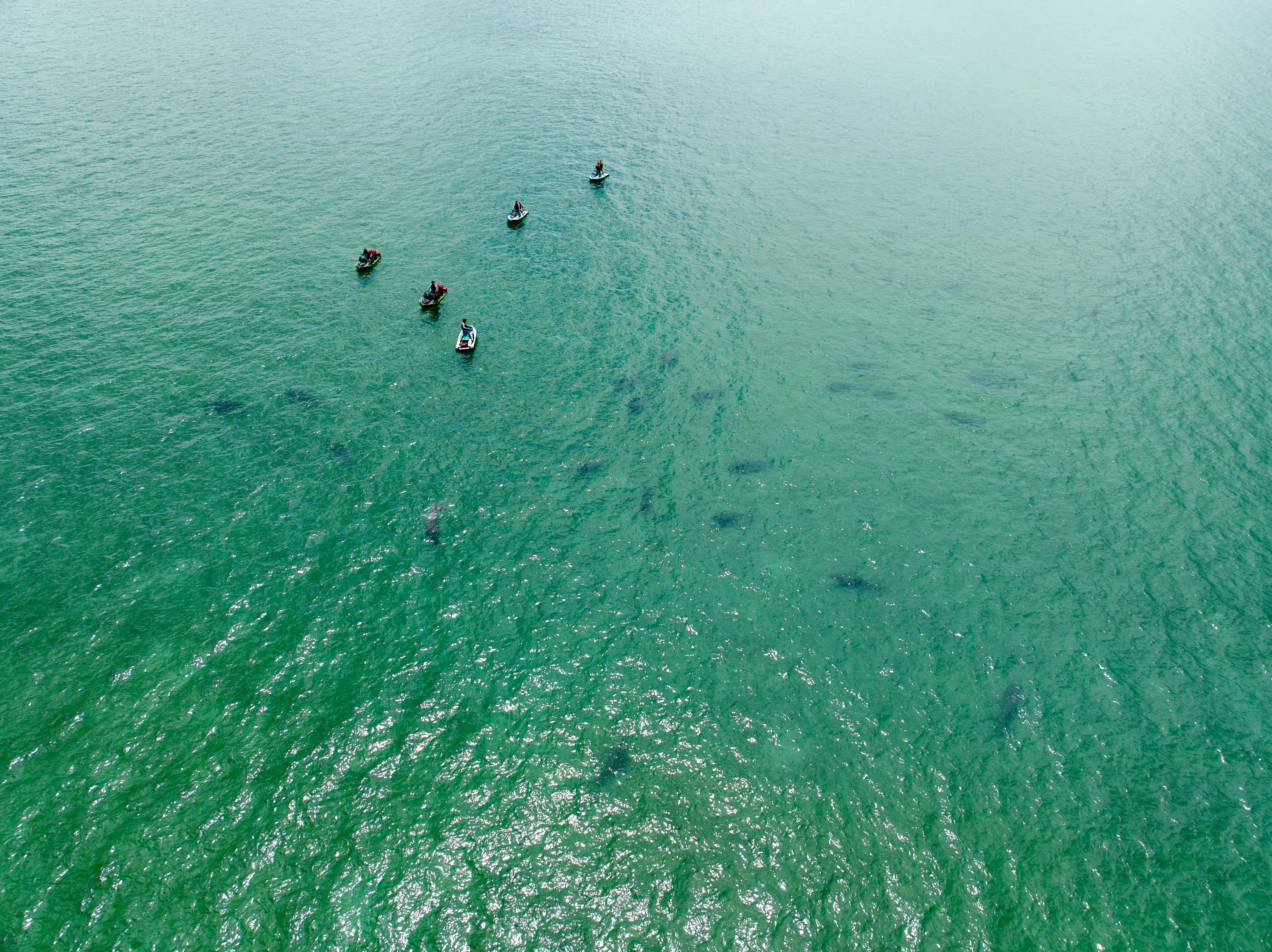 Gold Coast to Tangalooma Shipwrecks