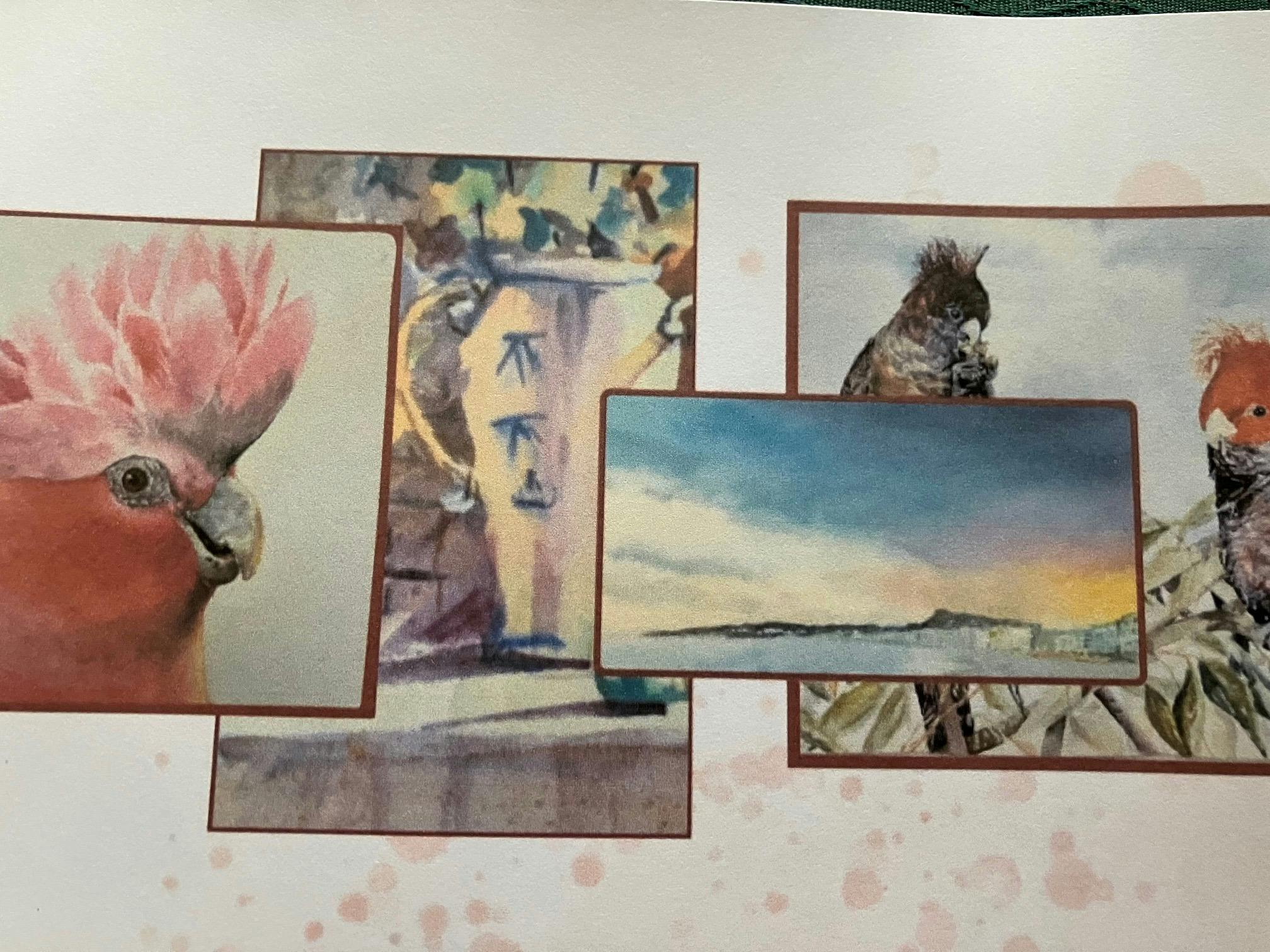 cockatoo, water landscape,