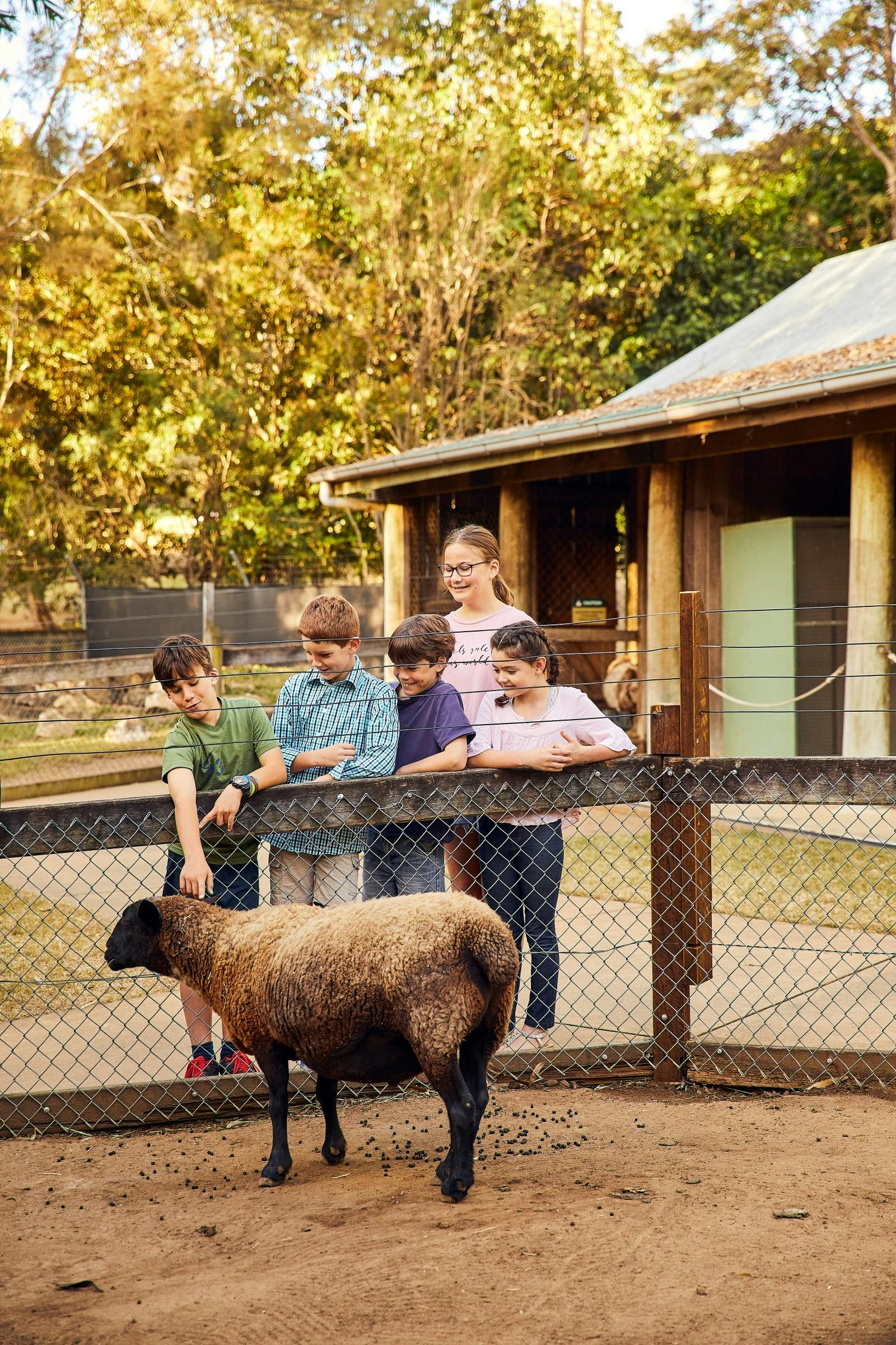 Animal Encounters at Ipswich Nature Centre