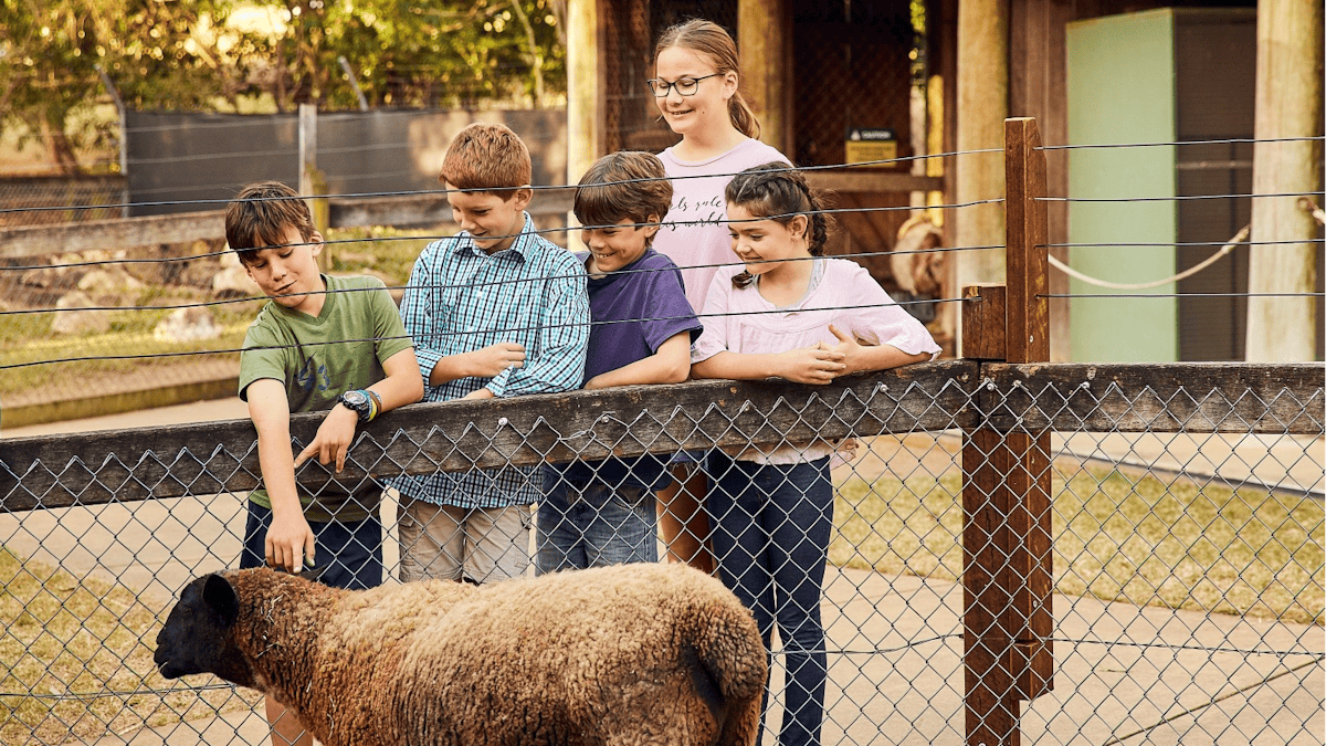 Barnyard at Ipswich Nature Centre