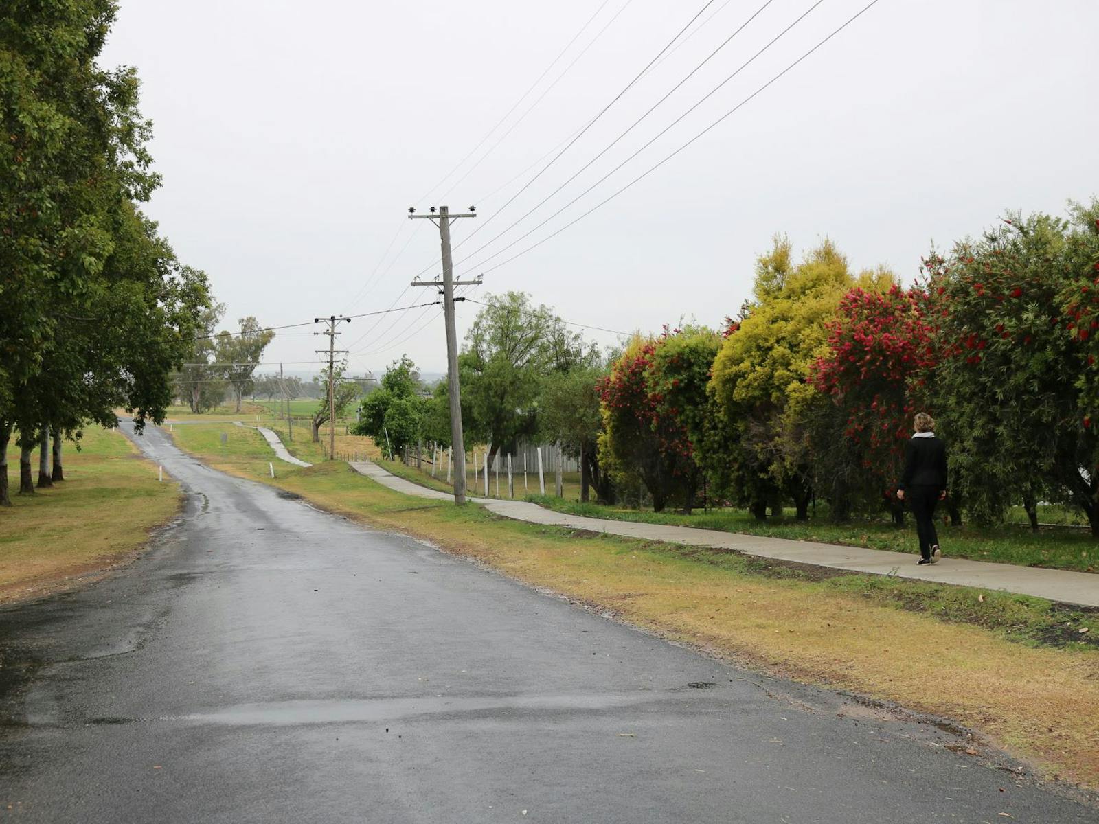 Texas footpath connecting the town and free camp site Texas footpath connecting the town and free camp site