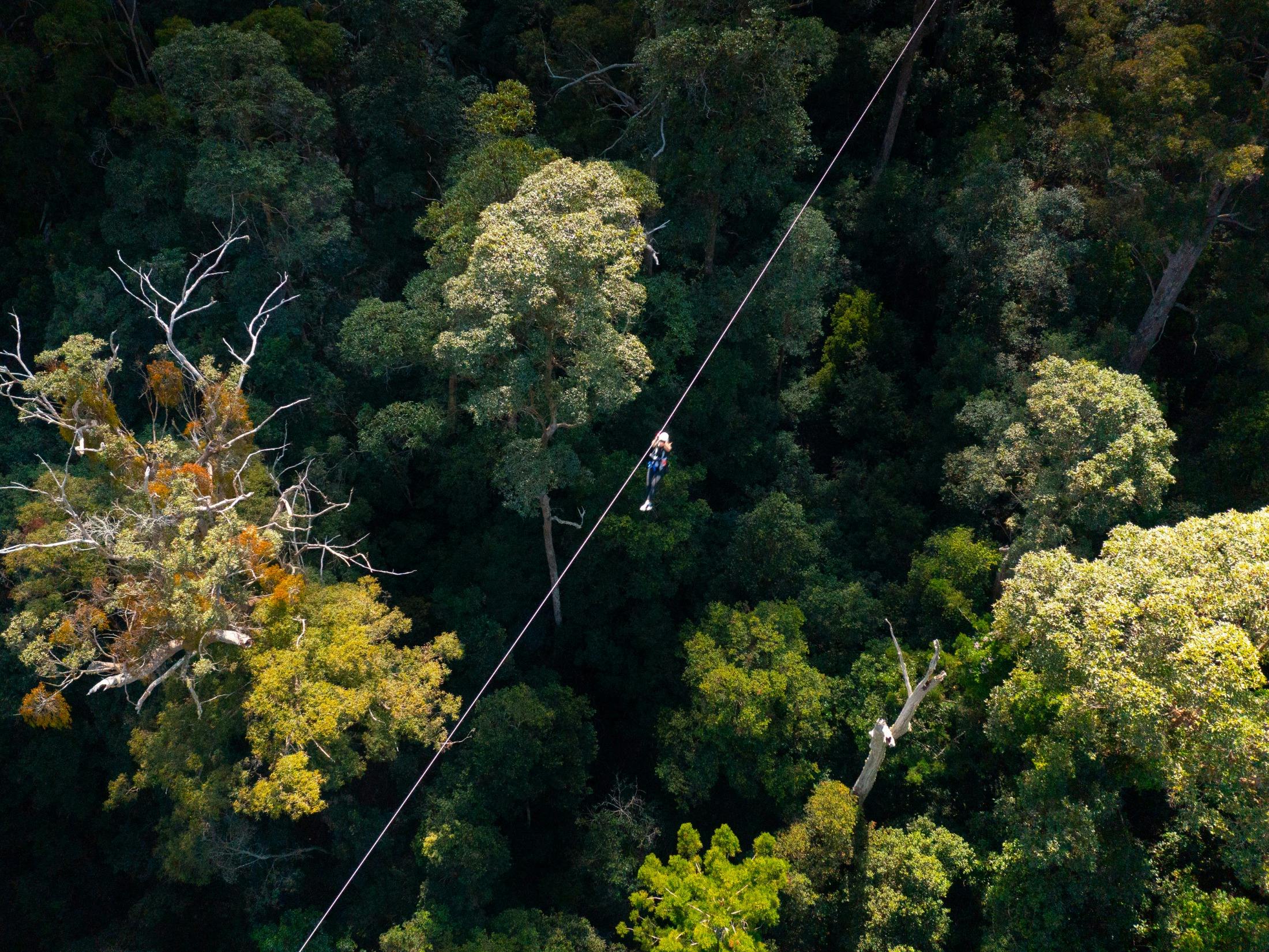Canyon Flyer Zipline Tour, Australia's largest Zipline Tour