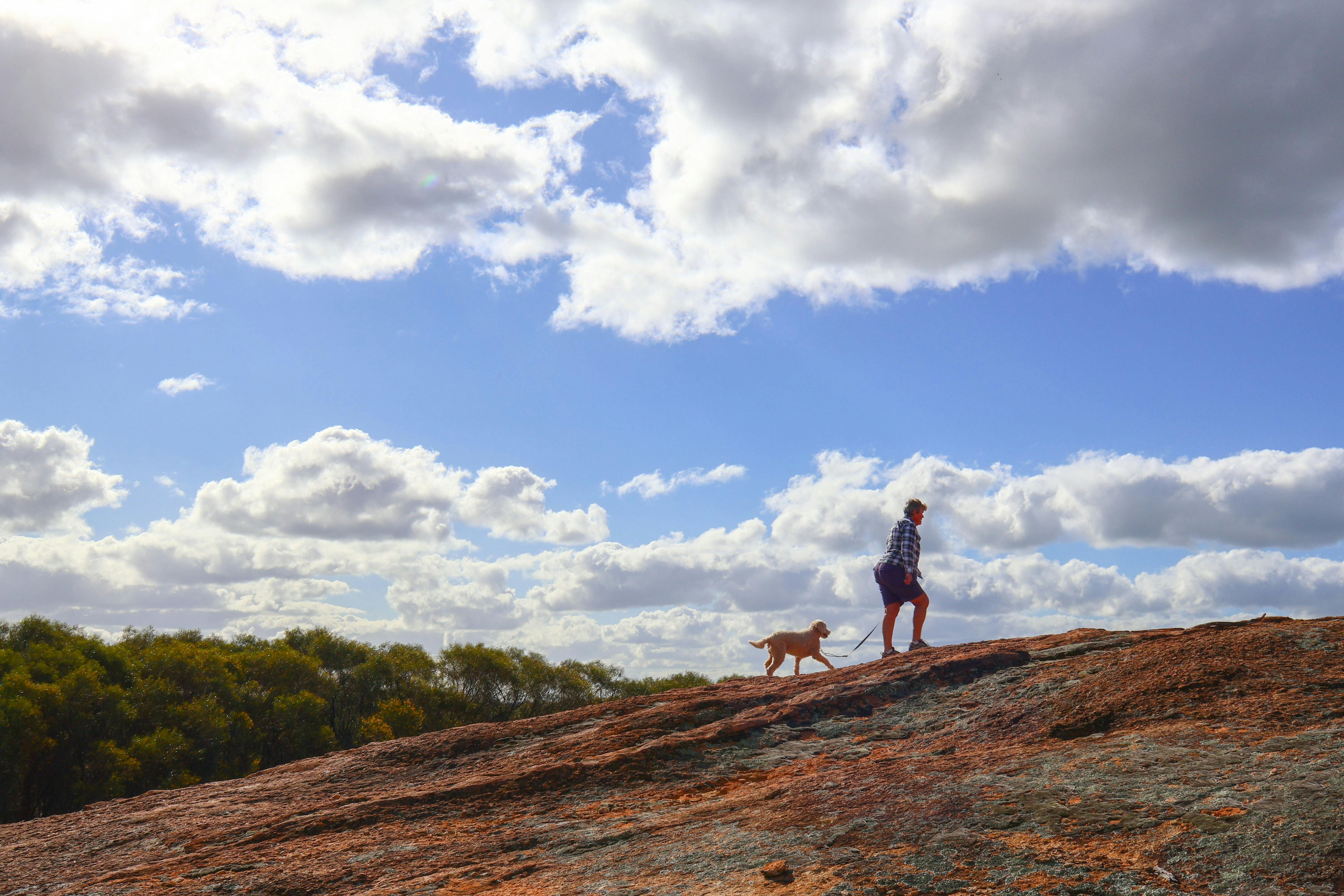 Merredin Peak