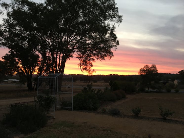 Sunset, Lonsdale Grenfell NSW