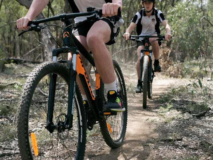 Mountain Bike Trails Murray Valley Regional Park - Deniliquin - Deni - Mountain Biking