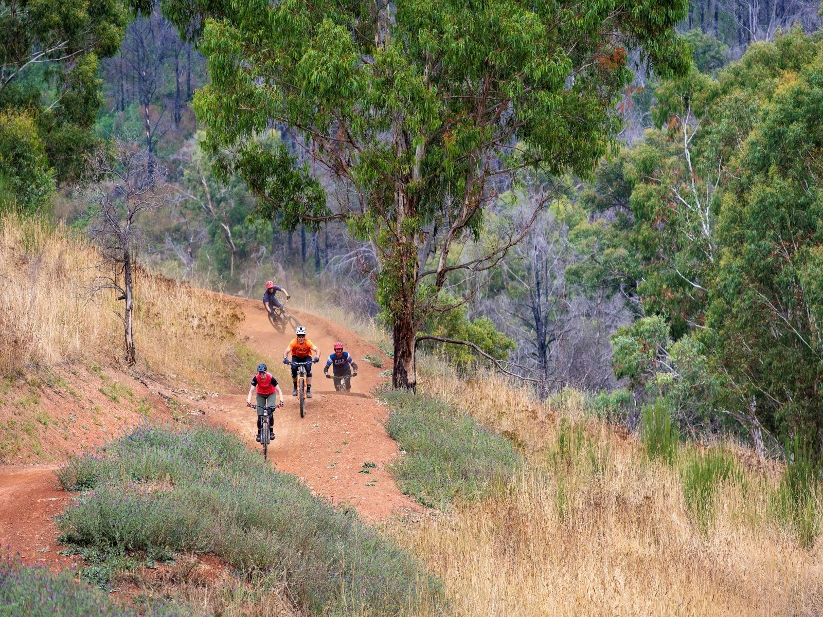 Cyclists - Fox Creek