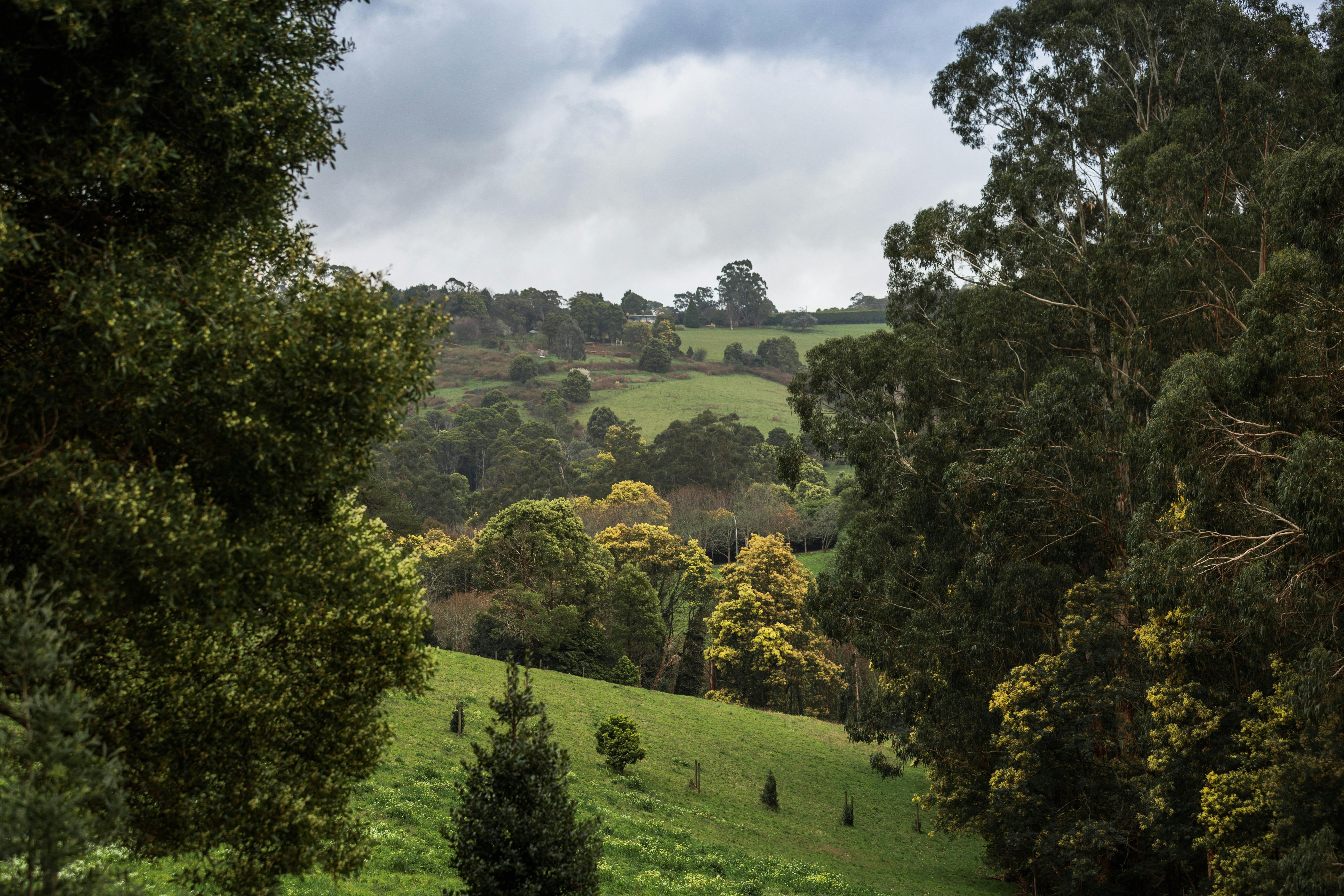 View from the Bistro