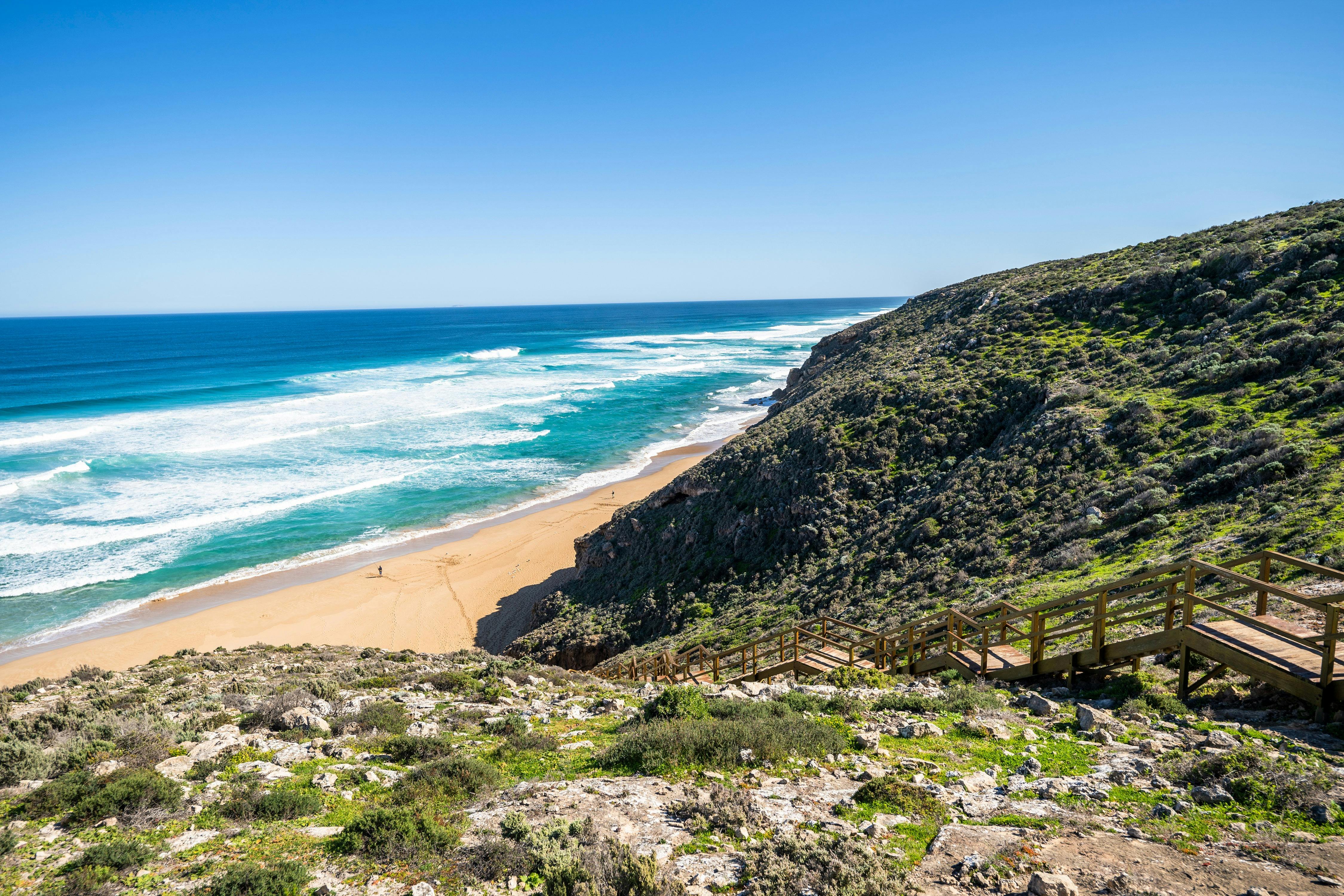 3 Days West Coast Whale Watching Tour