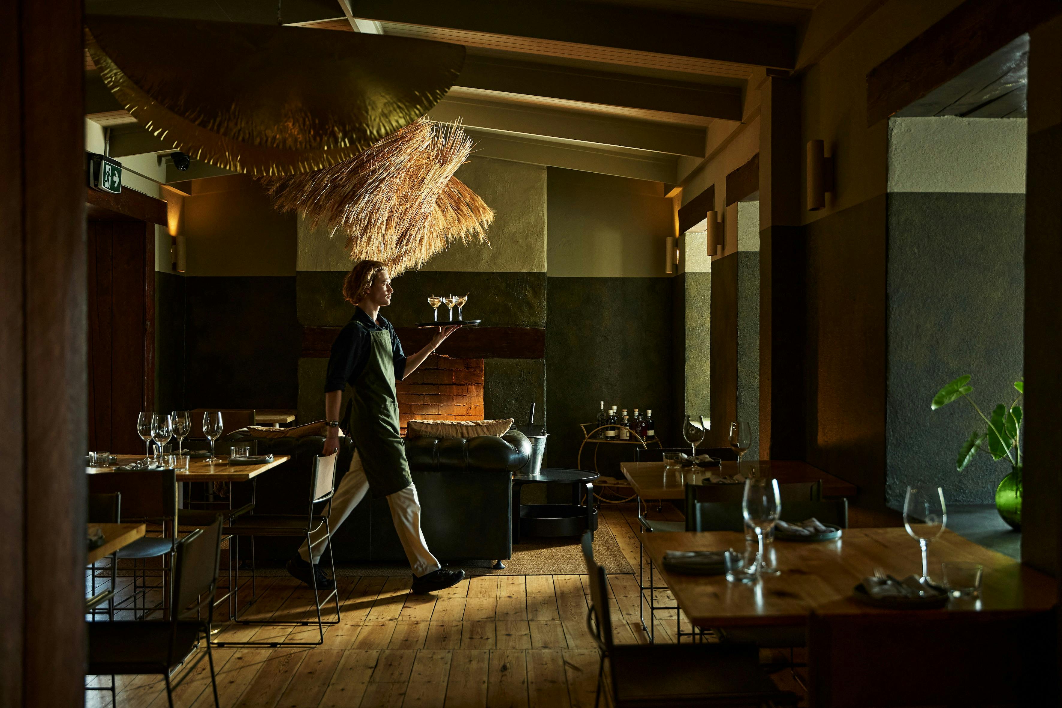 Quercus x Ondeen | The Winter Truffle Table