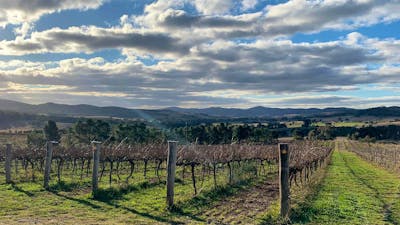Yarrh vineywards