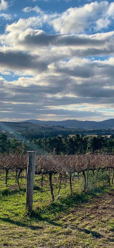 Yarrh vineywards