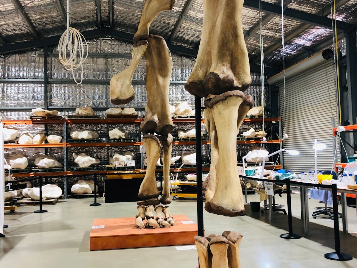 Eromanga Natural History Museum