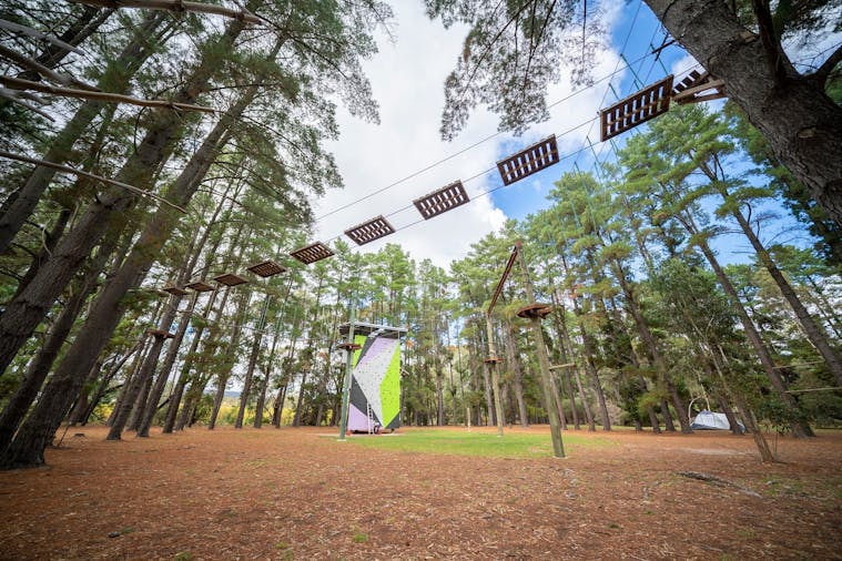 Rock Climb and Ropes at the Southern Adventure Hub