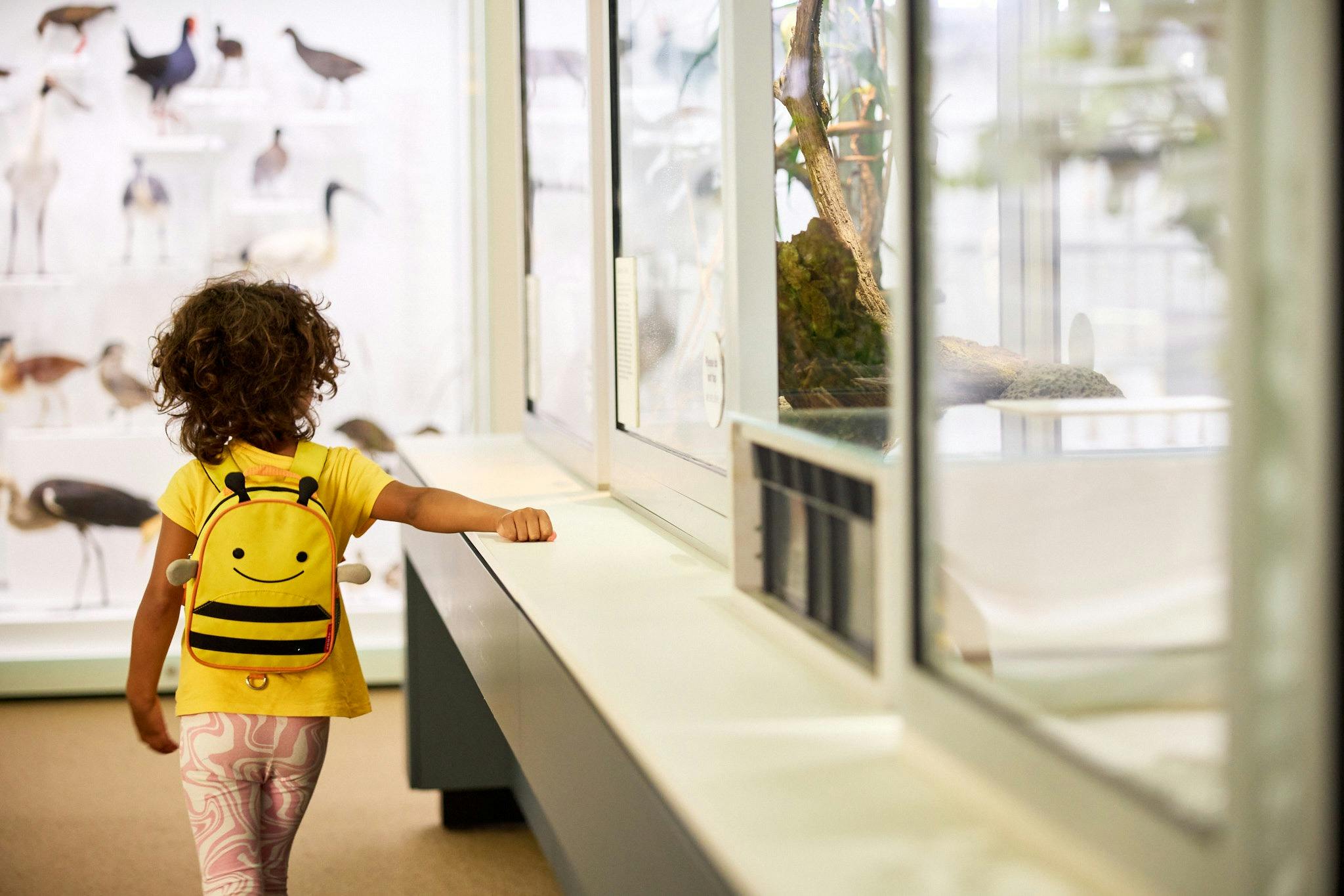 Discovery Centre at Queensland Museum Kurilpa