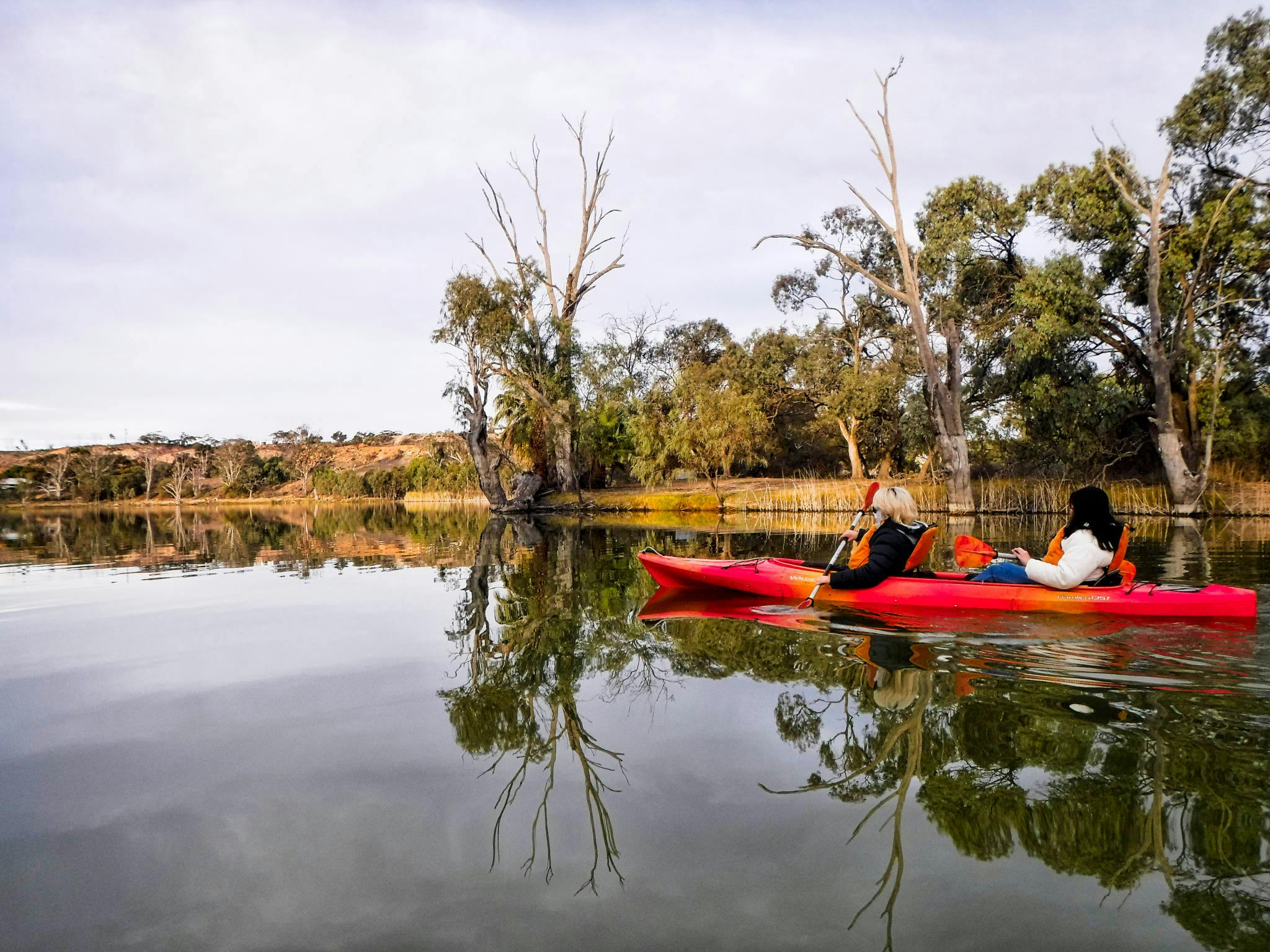 Reflections around kayakers in double kayak in wetland lake.