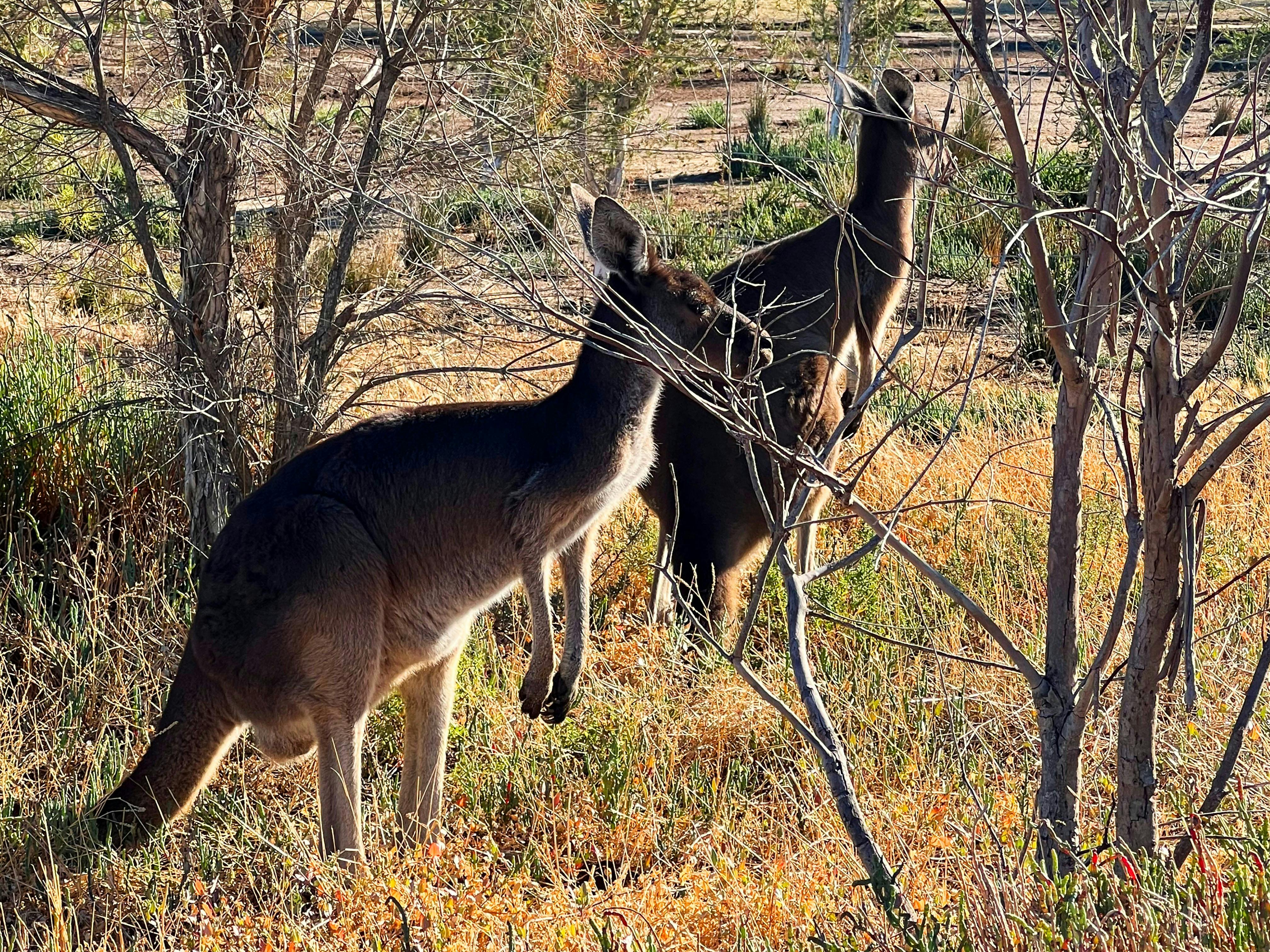 5 Minutes from the CBD