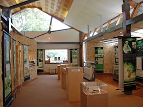 Woods Gallery interior