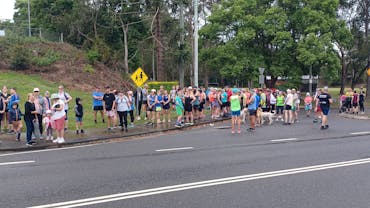 Mary Valley Rattler - Rush to the Rattler