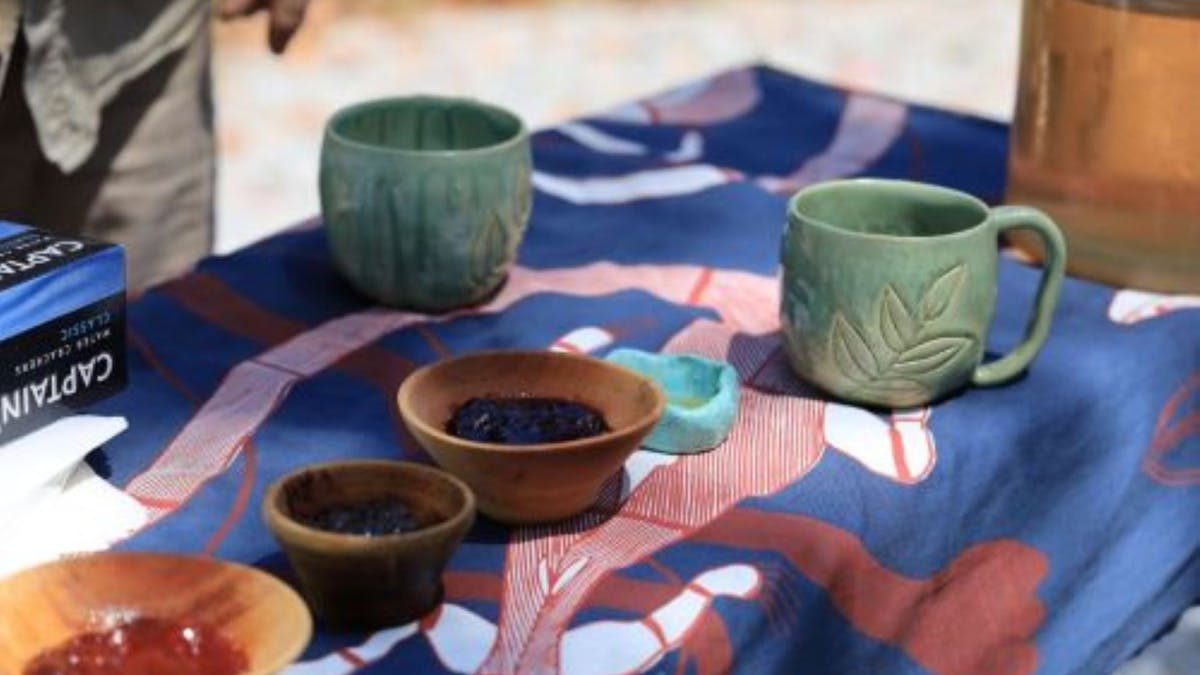 Native tasting Jams and Tea at BushTracks Eco Tours in Agnes Water 1770, Traveller's Rest 1770