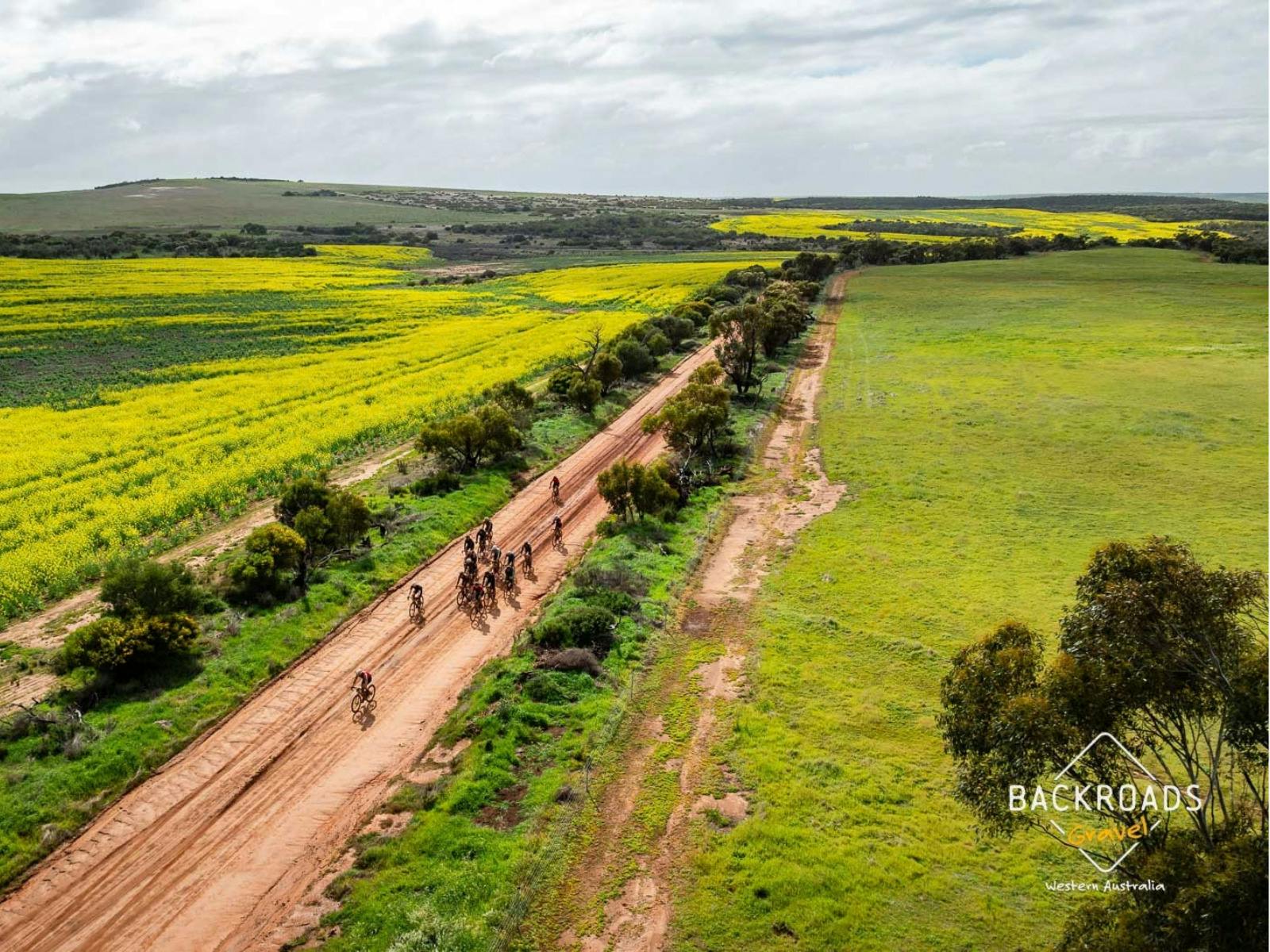 Cyclists on a red gravel road surrounded by yellow canola fields in Chapman Valley.