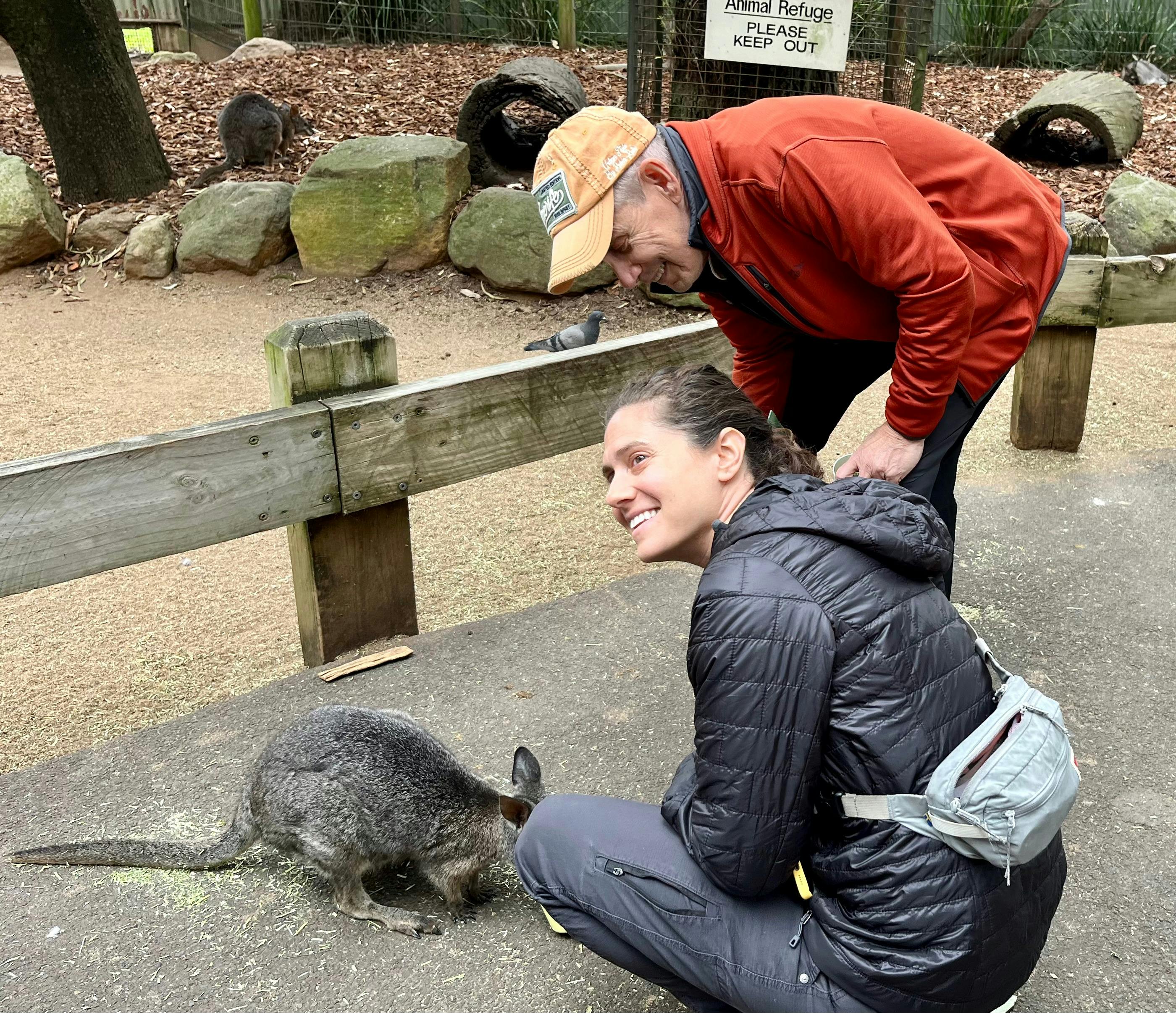 Wallaby-Fütterung im Featherdale Wildlife Park