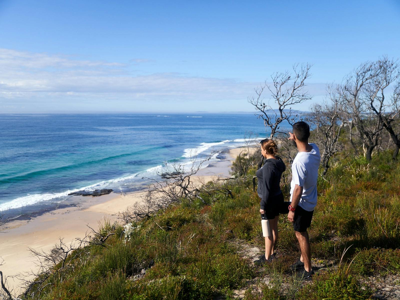 South Pacific Heathland Walk
