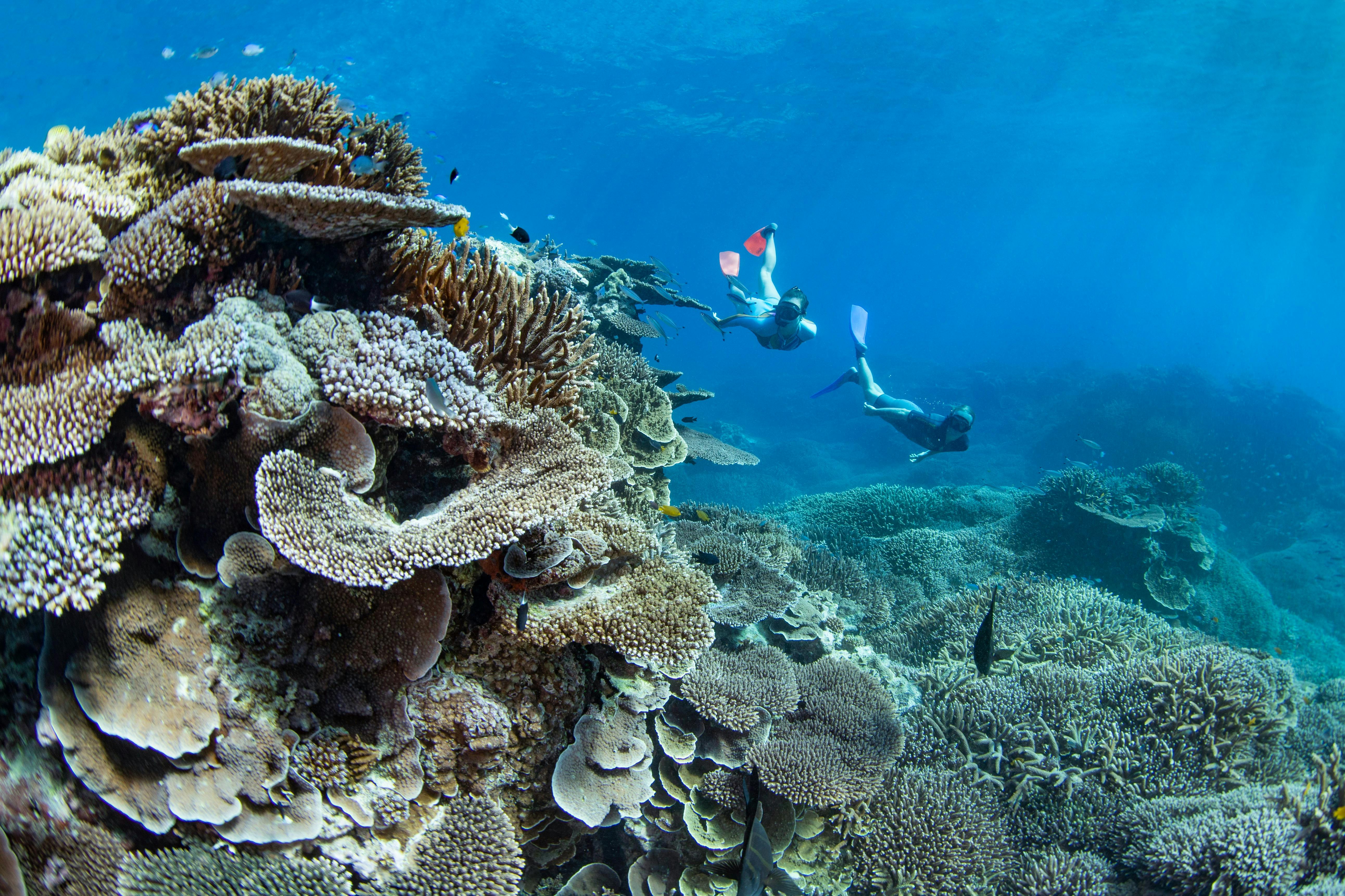 Southern Great Barrier Reef