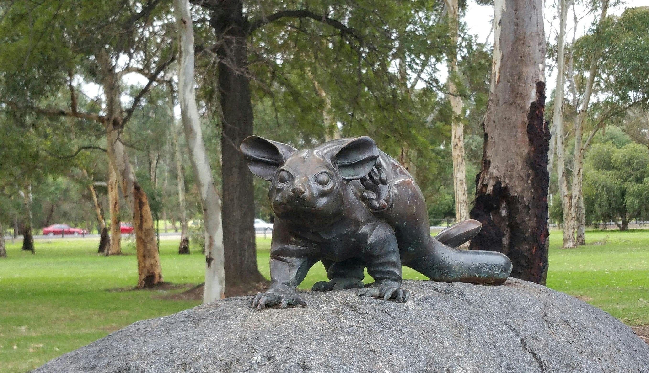 Guided Walk through Possum Park / Pirltawardli (Park 1)